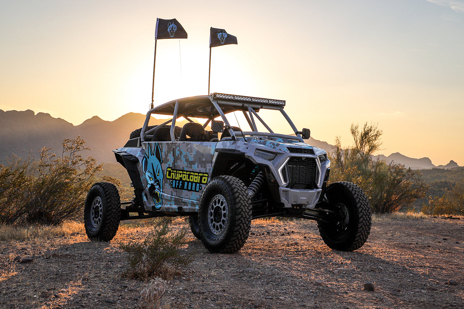 Polaris RZR XP4 (2019-2023) / XP4 Turbo S Roll Cage | ASSEMBLED | 