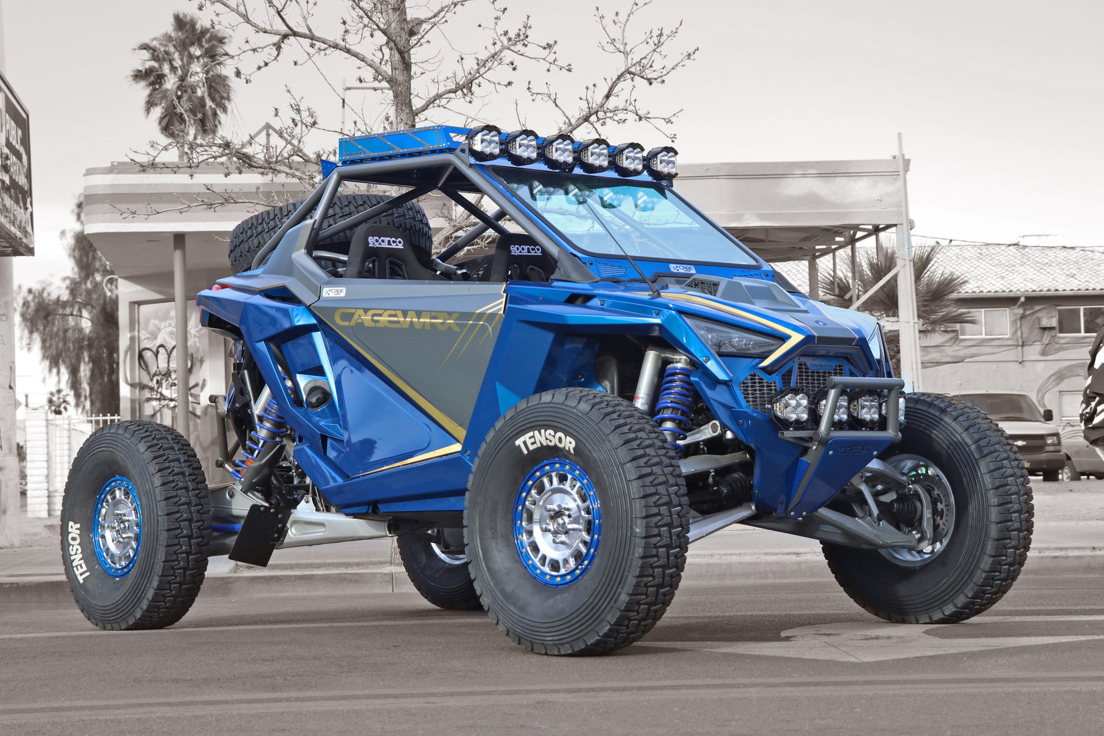 Polaris RZR Pro R Roll Cage | ASSEMBLED | 